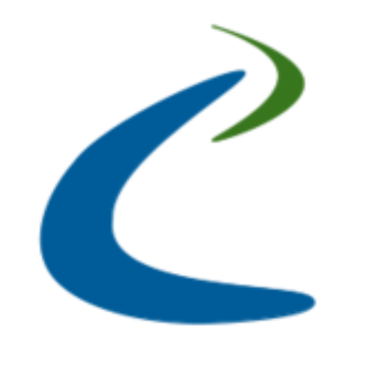 The Essential Auditor